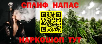 ГАЛЛЮЦИНОГЕННЫЕ ГРИБЫ Можга