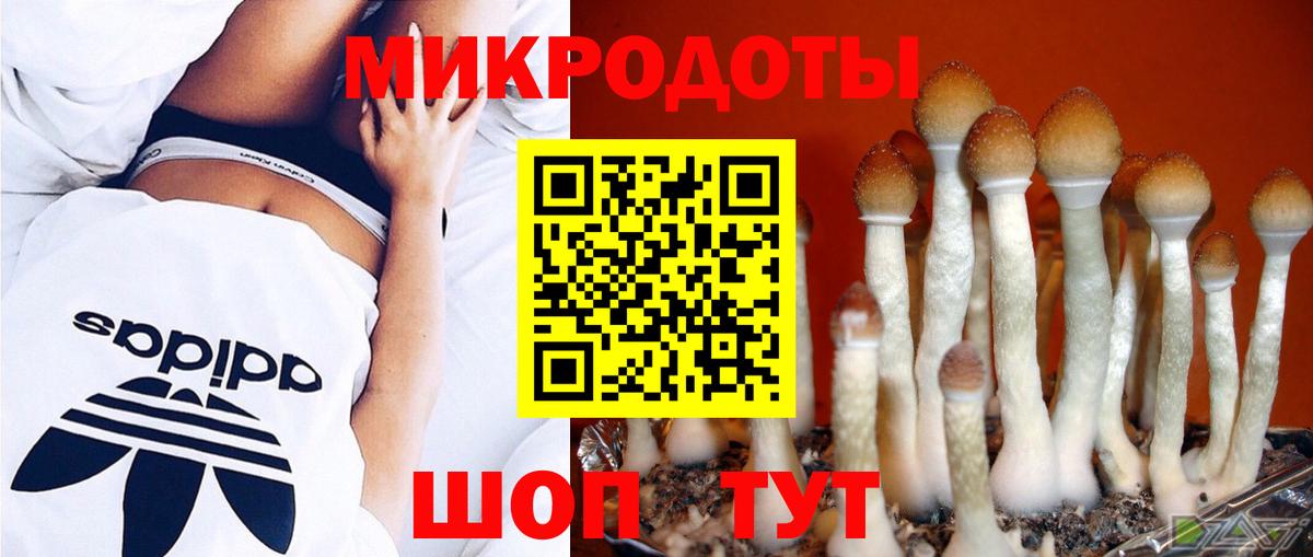 Псилоцибиновые грибы Psilocybine cubensis  Псилоцибиновые грибы MAGIC MUSHROOMS  Димитровград  Вход с VPN 