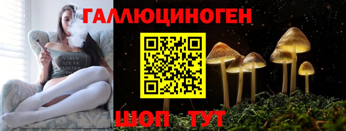 Галлюциногенные грибы Psilocybine cubensis Димитровград